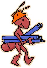 Ant