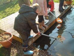 Pond dipping